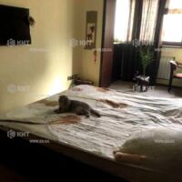 Продажа квартиры Харьков, Алексеевка, 86м²
