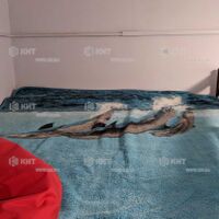 Продажа квартиры Харьков, Завод Шевченко, 37м²
