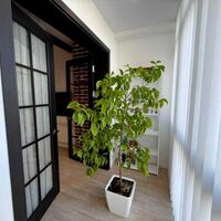 Продаж квартири Харків, Наукова, 75м²