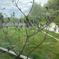 Продаж квартири Харків, Клочківська, 50м²