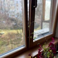 Продаж квартири Харків, Олексіївка, 47м²