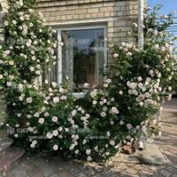 Продажа дома Харьков, Журавлевка, 140м²