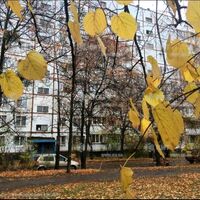 Продаж квартири Харків, Салтівка, 624 мрн., 65м²