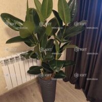 Продаж квартири Харків, Нові Дома, 34м²