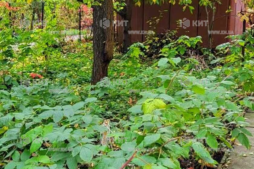 Продажа квартиры Харьков, Одесская, Основа, 50.6м²