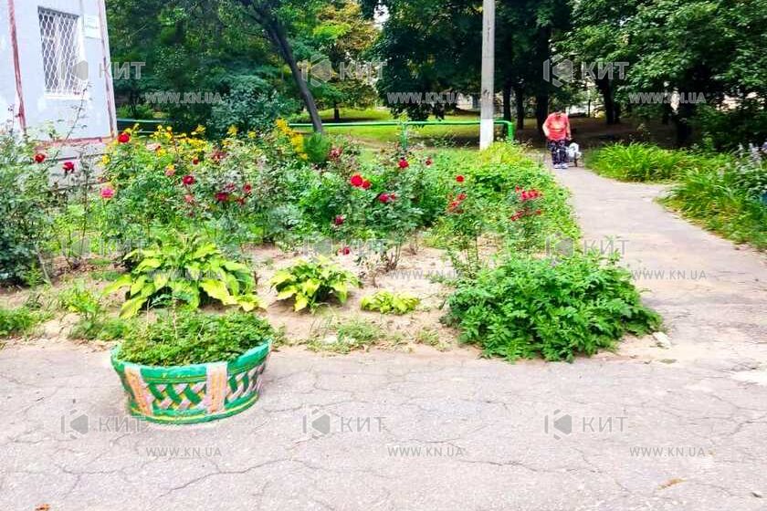 Продаж квартири Харків, Олексіївка, 67м²